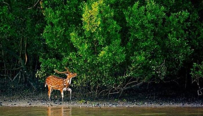 Community & Conservation Cruise